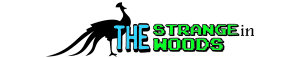 Thestrangeinthewoods